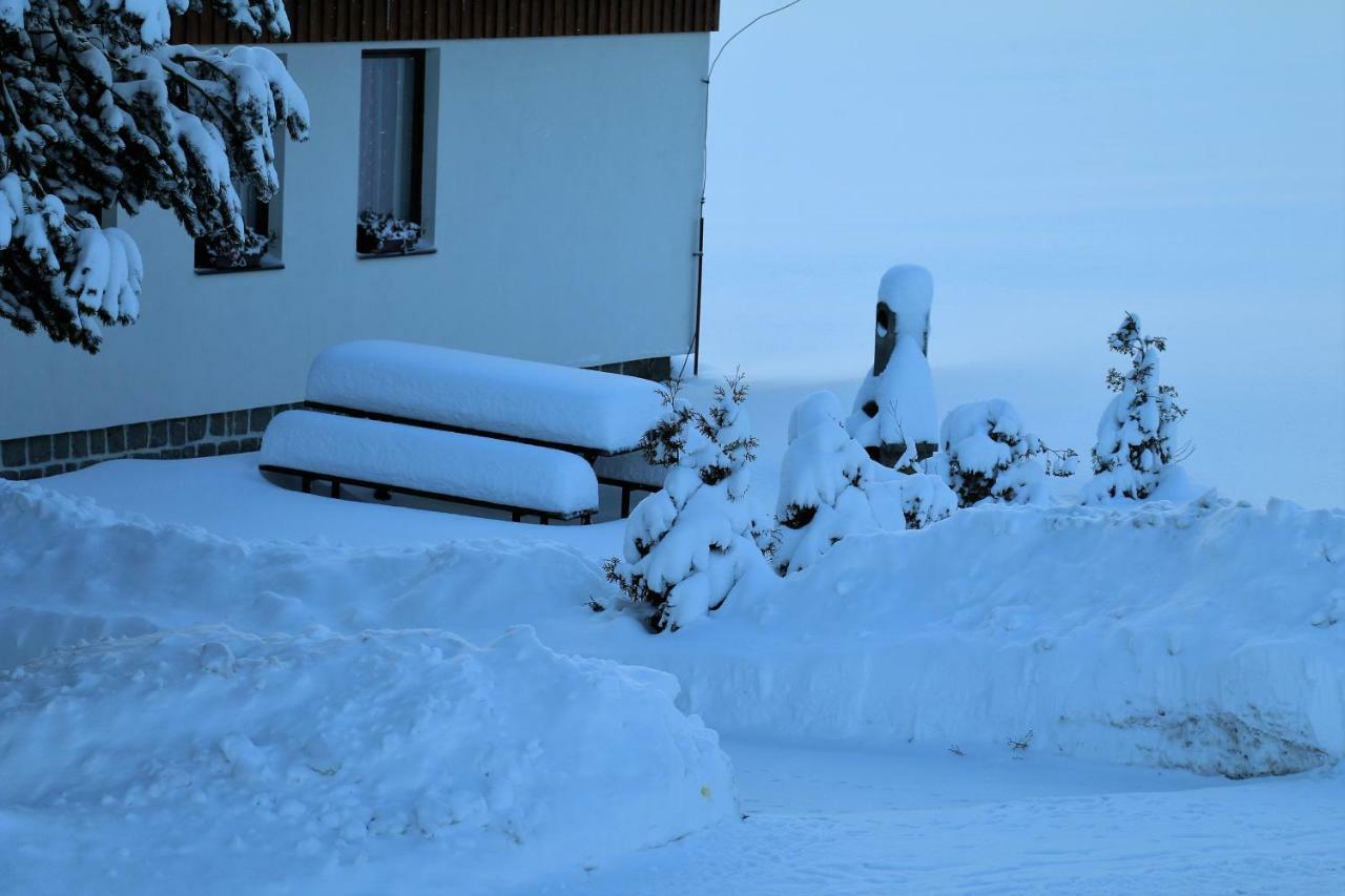 Apartmány Na Výtoni Přední Výtoň Exterior foto